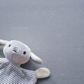 上を見つめる感情のないぬいぐるみ